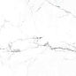 CR222 Colonial White Carving 600x1200 PrimaVera