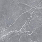 6FMD2254 Salvena Dark Grey Matt Rect 60х60 Persepolis Tile