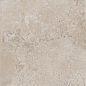 PF60012260 Pietra Viva Beige Antique 3D Ret 120x120 ABK