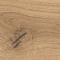 AX3L Log Icon Oak Forest Matte 18,5x150 Atlas Concorde