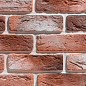 Декоративный кирпич Плоскость Руан 490 21,5x6,5x1,5 Leonardo Stone