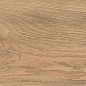 AX3A Log Icon Oak Matt 20x120 Atlas Concorde