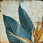 TR3333 Tropic 33х33 Serapool