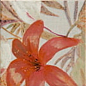 Decor Bangkok 15x15 Mainzu