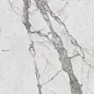 610010000778 Charme Evo Statuario 60x60 Italon фото в миниатюре 3