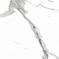 PR207 Salvatore Polished 600x1200 PrimaVera