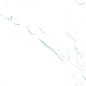Teal Statuario 60x120 Realistik