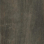1066570 Fossil Bruno Ret 60x120  Serenissima Cir