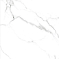 STATUARIO GRIS Glossy 60x120 One Touch