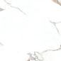 F2A A0ZS 000C Carrera White Matt Rect 60x120 Goldis Tile