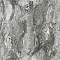 Ocean Awesome Grey Серый Полированный 60х60 Ceradim