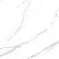 TP3601A Галатея белый ректификат 30x60 PrimaVera фото в миниатюре