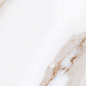 Calacatta Gold 32x62.5 Gayafores