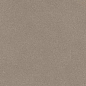 ENFBD3005GL80300 Granite Barley Glossy 800х3000х15 Ennface