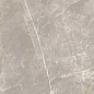 766528 Elemental Grey Dolomia Luc Ret 60x120 Cerim