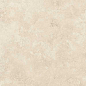 141133 Mythology Simbios Ivory Brushed Rect 60x120 Monocibec