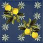 Giardino Blu Mix Luc 20x20 Sant Agostino