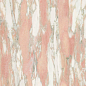 D1264836BM Rosa Norvegia 60x120 Gani