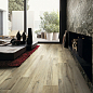 Prexious Rex Ceramiche