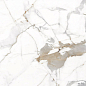 PR130 Maverick White polished 600x600x9 PrimaVera