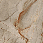 775096 Nature Mood Rainforest Comfort Ret 9mm R10 60x120 Casa Dolce Casa