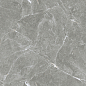 Stone Cool Grey Серый Полированный 60х60 Ceradim