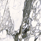 0500867 TWS Calacatta Renoir Lux RT 59,6x119,2 Roberto Cavalli
