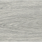 Eleganza Silver Rectificado 20x114 Baldocer