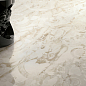 G67584 Black & Gold Lux R 60x120 Versace (Gardenia Orchidea) фото в миниатюре 11