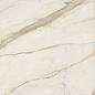 AGCJ Golden White Luc 120x278 Caesar фото в миниатюре 2