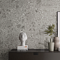 PL120619 Grigio Milano Luc 120x120 Ariostea