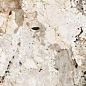 774676 Nature Mood Tundra Glossy 80x180 Casa Dolce Casa