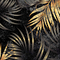 Belliza Black Decor HG 60х120 SotGres