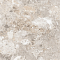 Venus Fossil Double Digital 60x120 Realistik