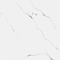 R_PR1004 Carrara Marmo Polished 60x60 Royce