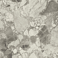 610015000653 Forte dei Marmi Ceppo Apuano Pearl 80x80 Atlas Concorde Russia