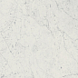 610015000368 Charme Extra Carrara Lux Ret 60x120 Italon