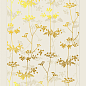 00NEO125DBER Neo Dea Beige 50x120 Vallelunga