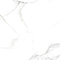 Carrara premium white PG 01 60х60 Gracia Ceramica