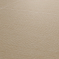 Surface Italon