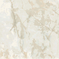 P17678 Berno Polished 60x120 Pardis Ceramic Pazh