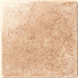 Radica 10x10 Serenissima Cir