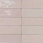 122107 Safi Pink 5,2х16 DNA Tiles