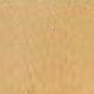 Rod. Bullnose DUCALE Beige pulido 7.6x38.8 Ceracasa