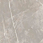 766956 Elemental Grey Dolomia Luc Ret 60x60 Cerim