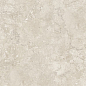 NTT9453M Zeus Taupe Mat 60x120 NT Ceramic фото в миниатюре 7