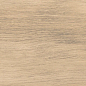 NRL_P0015 Naomi Wood Brown 30х60 Creto