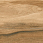 Avellano Brown / Авеллано Коричневый SR 120x19.5 Idalgo (Идальго)