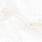 AB1021G Onix Mapple gloss 600x600 Absolut Gres