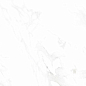 N12003 Venus Bianco Polished 60x120 Neodom